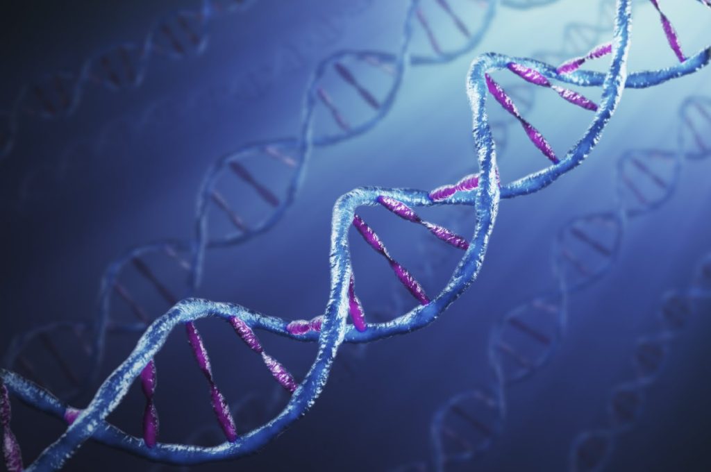 dna