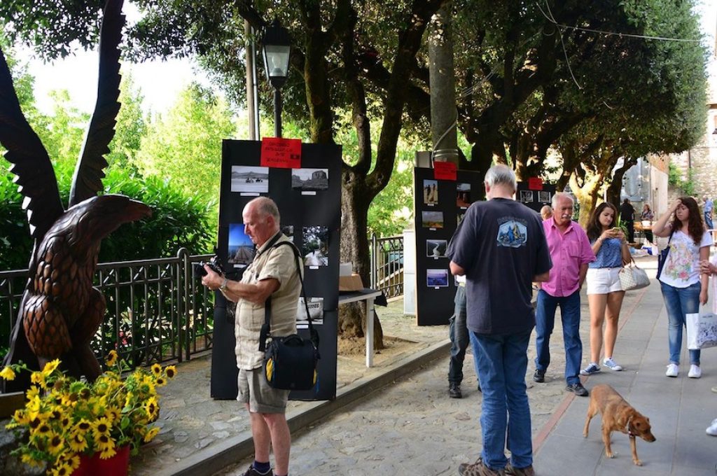 doglio concorso foto2