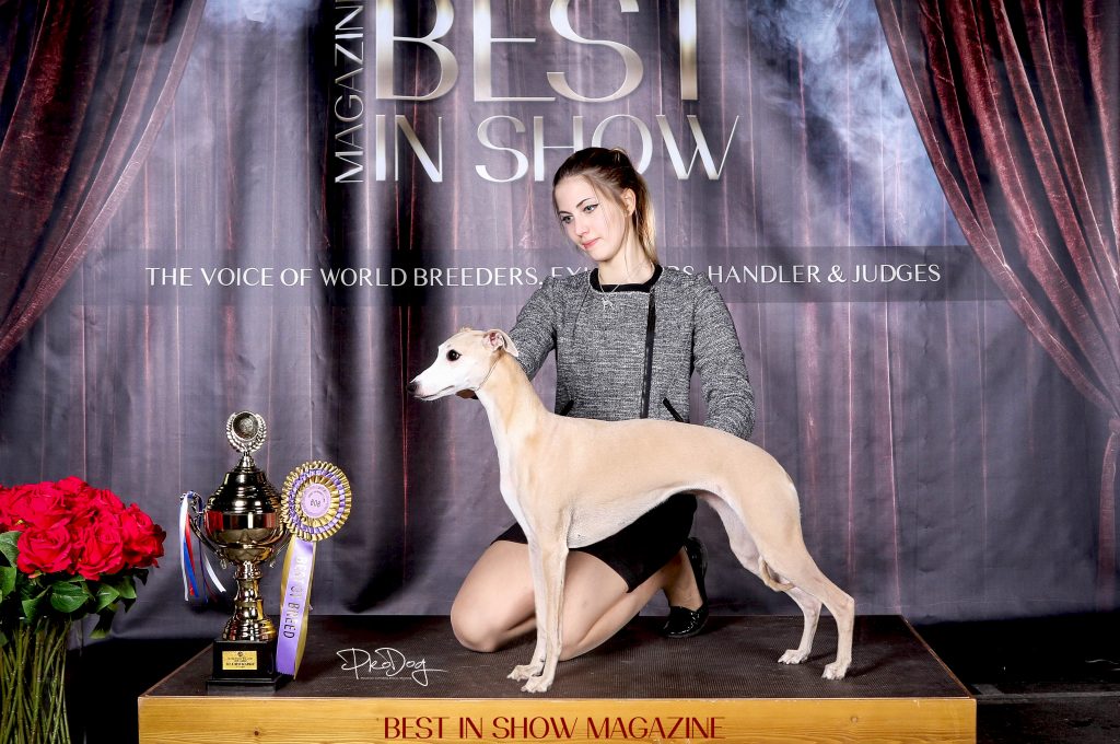 eva best in show magazine