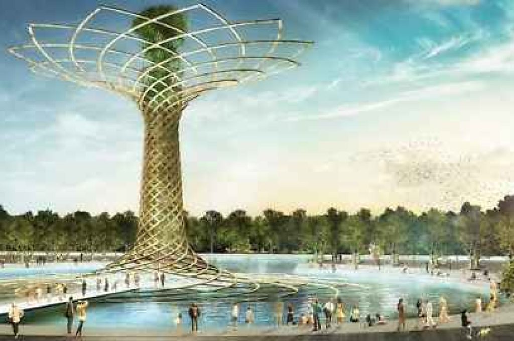 expo albero vita