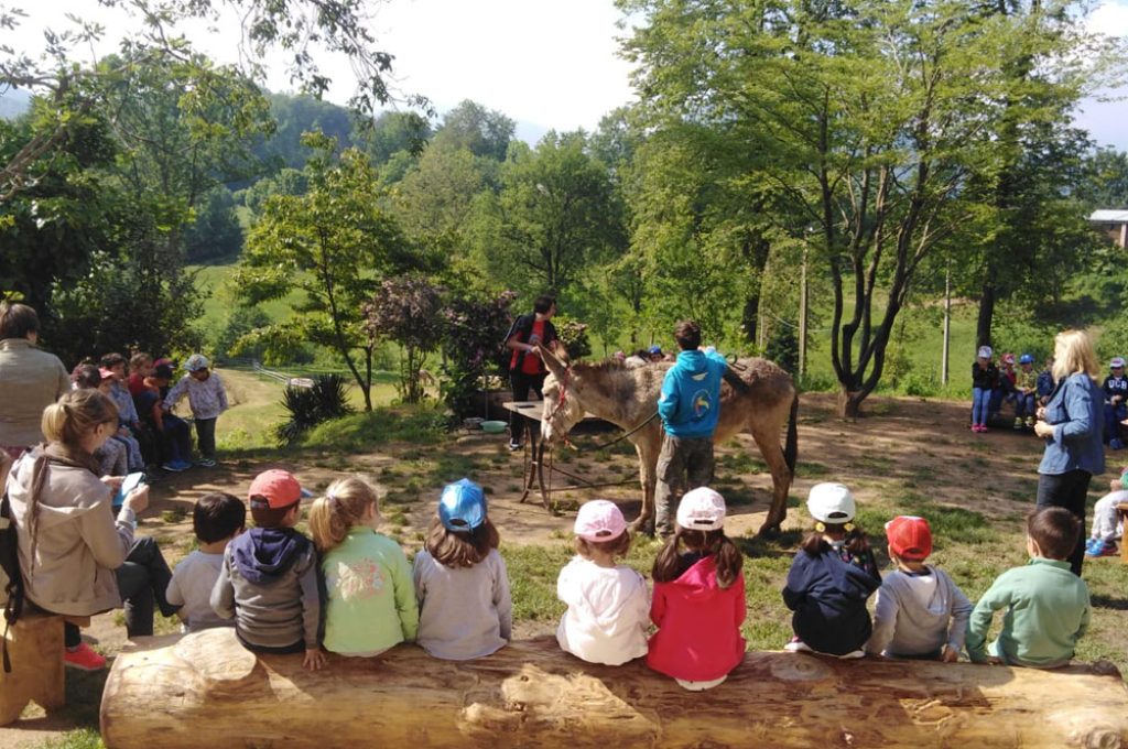 fattoria-didattica-1