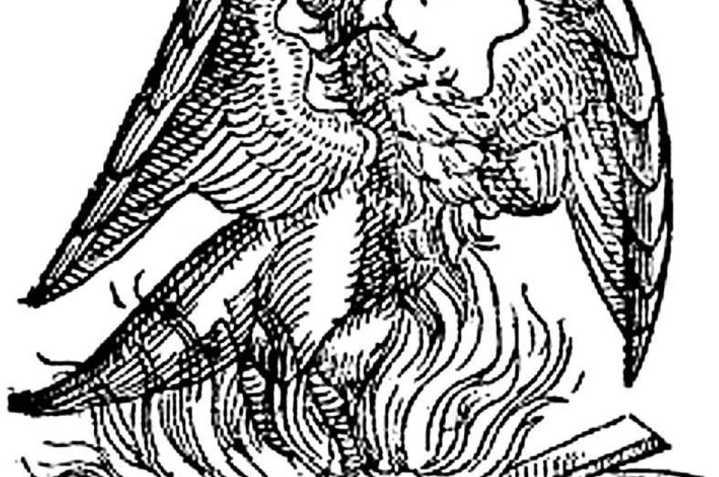 La fenice che risorge