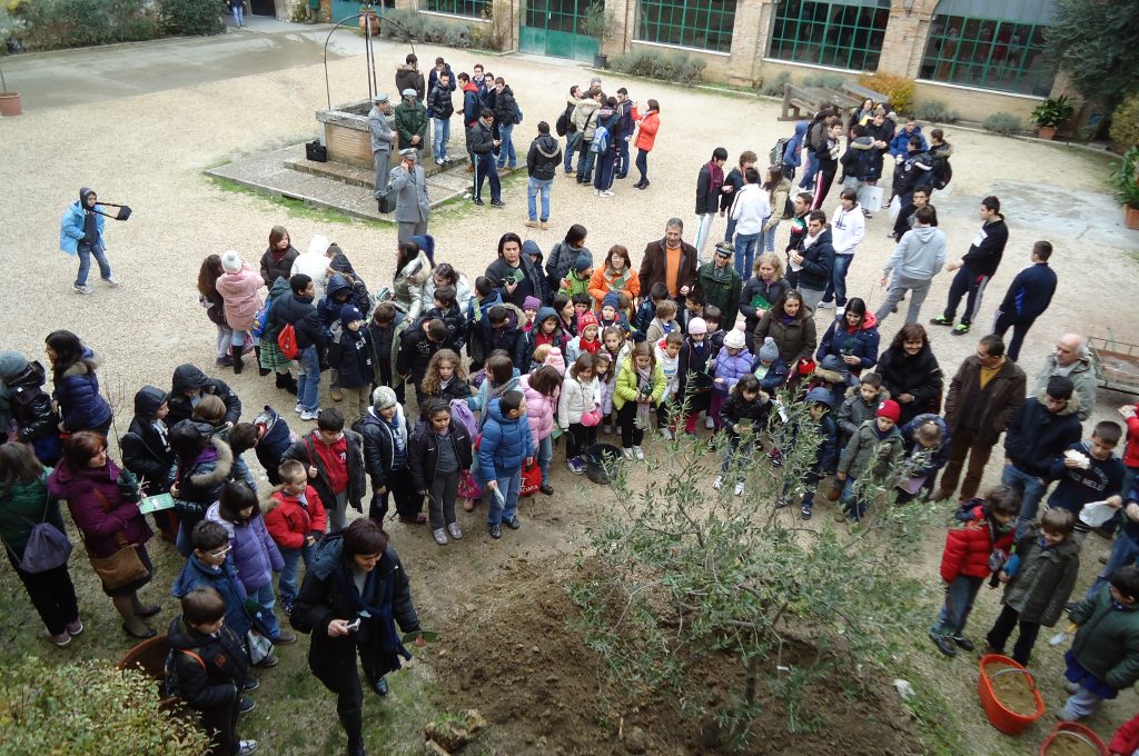 festa-albero-2010-olivo