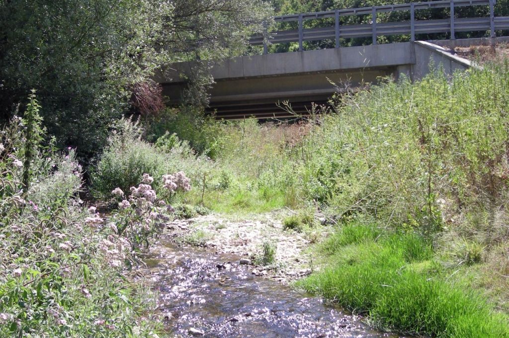 fiume-menotre
