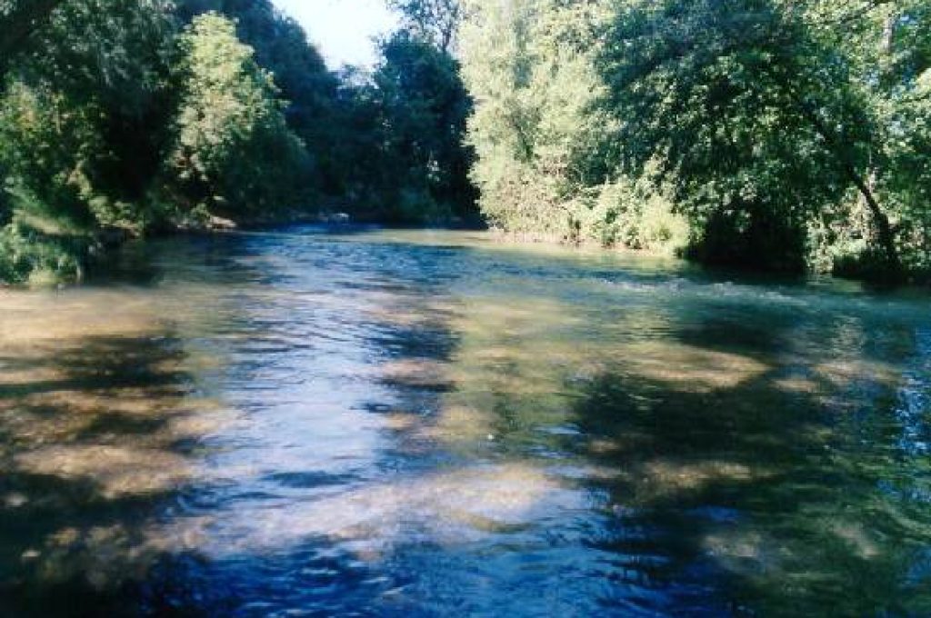 fiume-nera