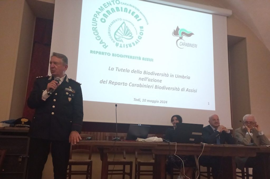 forestali agraria