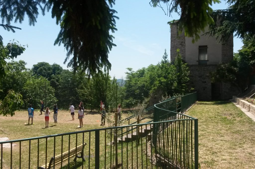 foto porta fratta parte corte