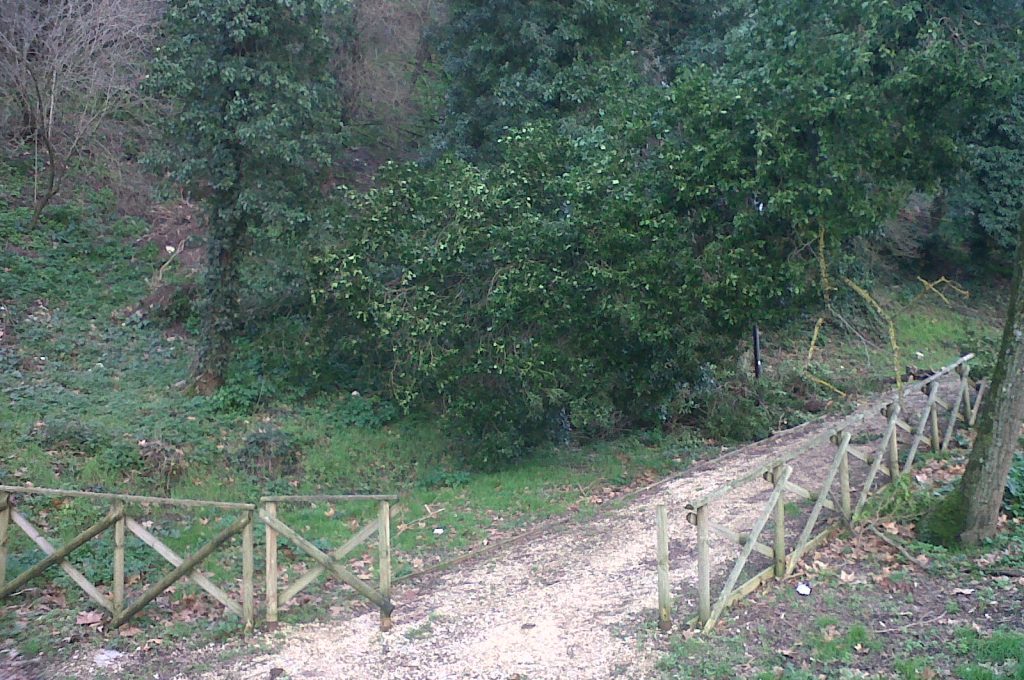 frana-porta-orvietana