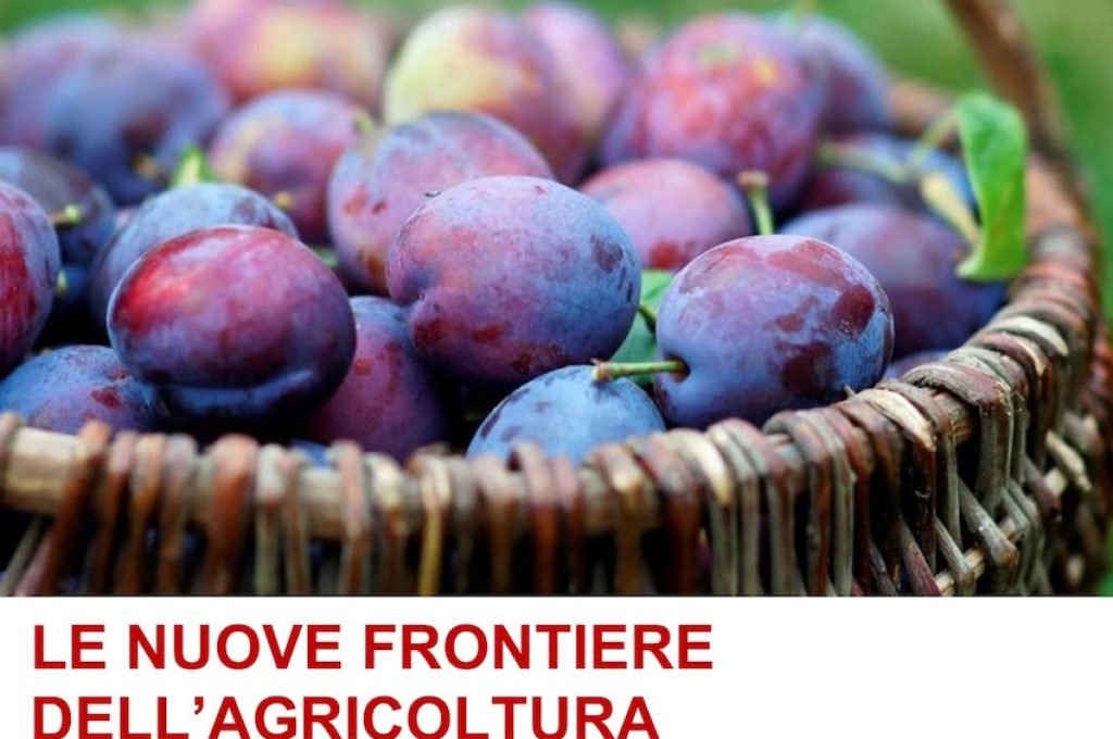 frontiere-agricoltura-spina