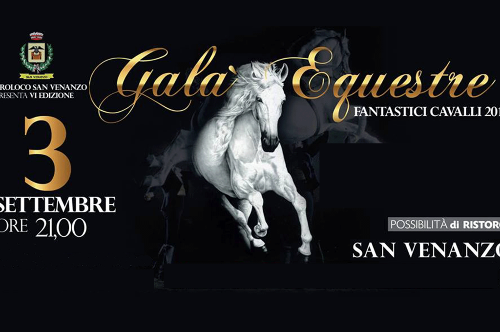 galà 2016