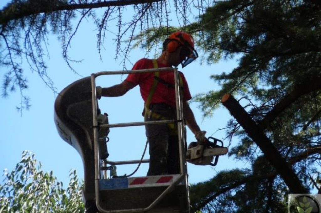 giardiniere-a-catania-e-provincia