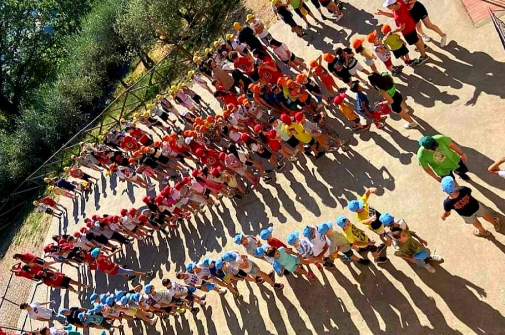 grest todi 2022