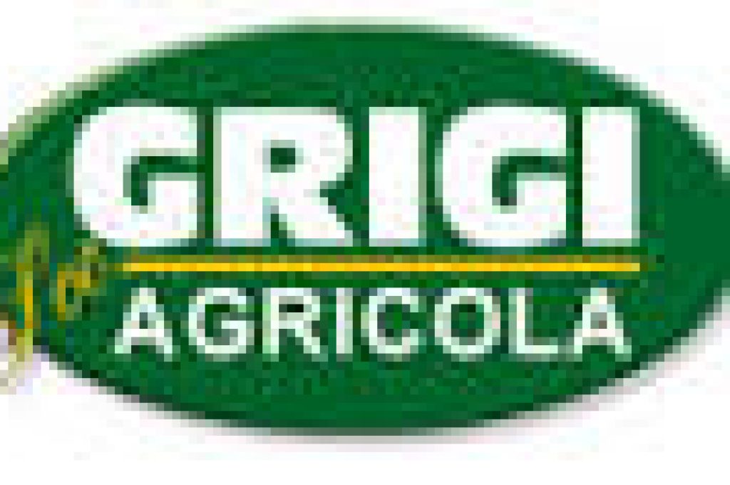 grigi