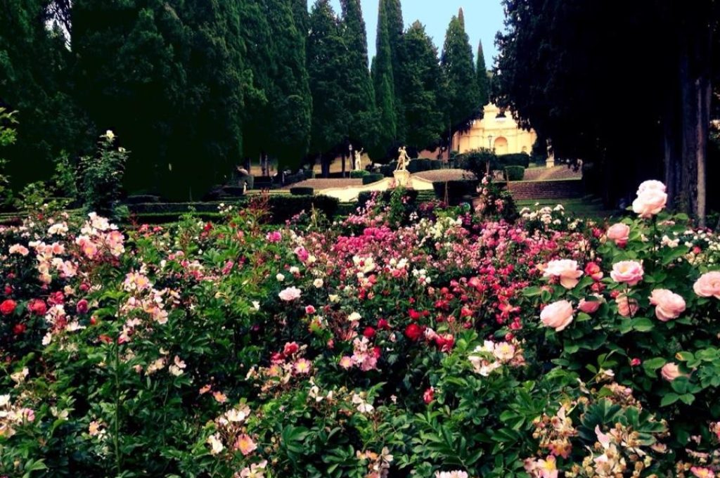 i giorni delle rose a villa fidelia di spello