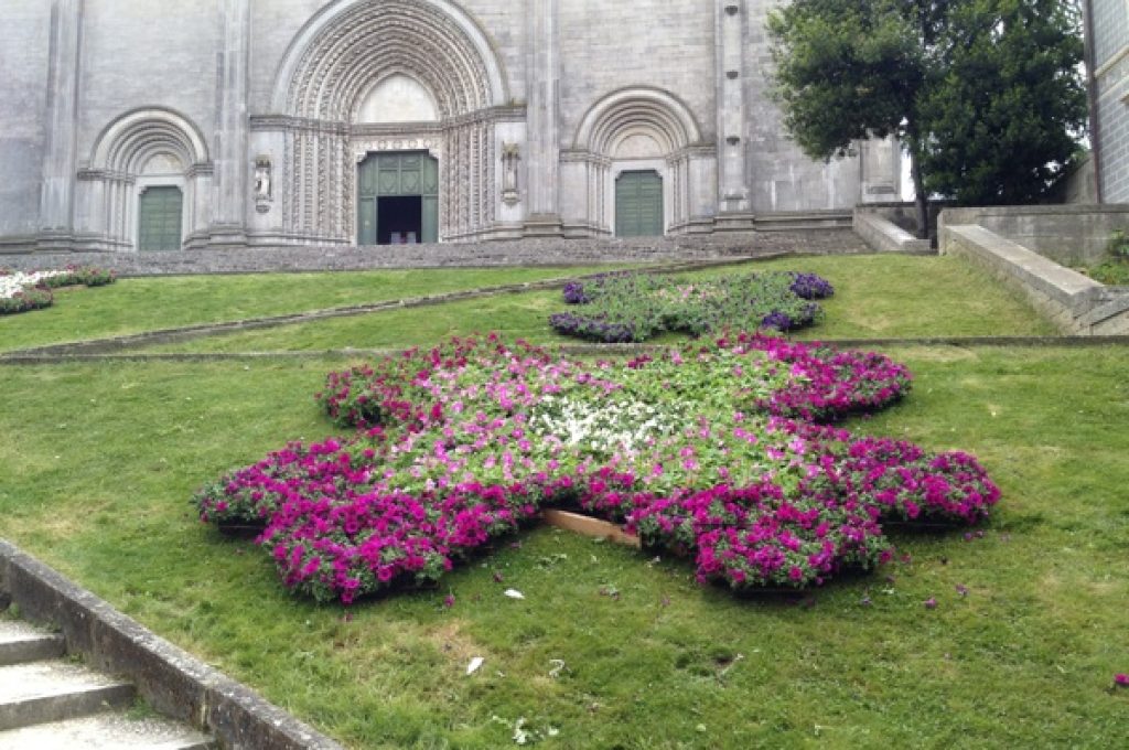 Todi Fiorita 2013