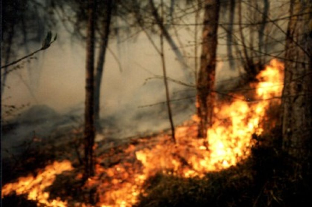 incendi