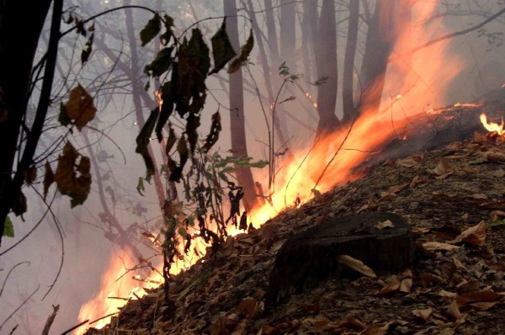 incendi_boschivi