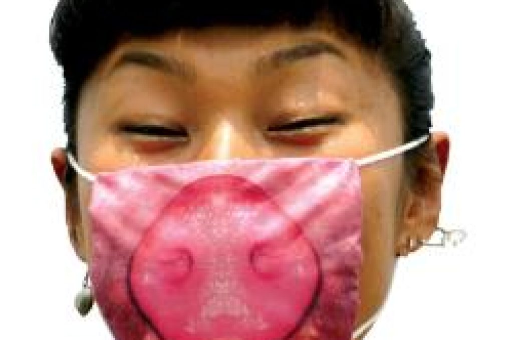 influenza-due2