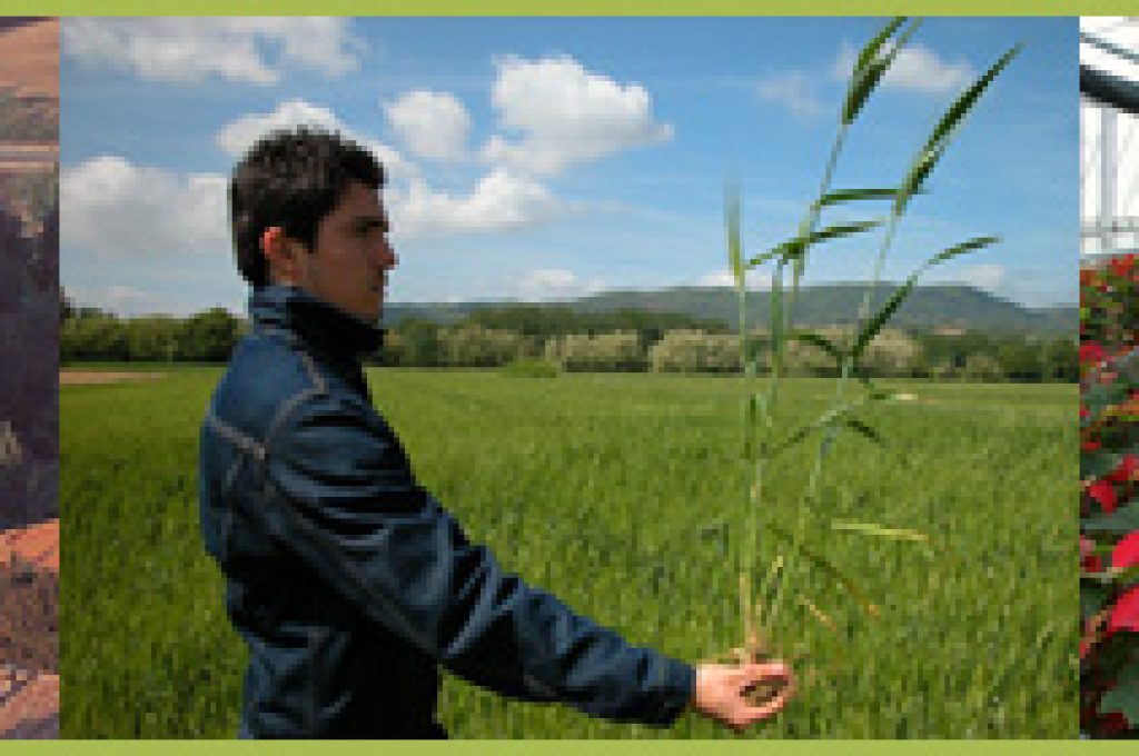 istituto agrario todi