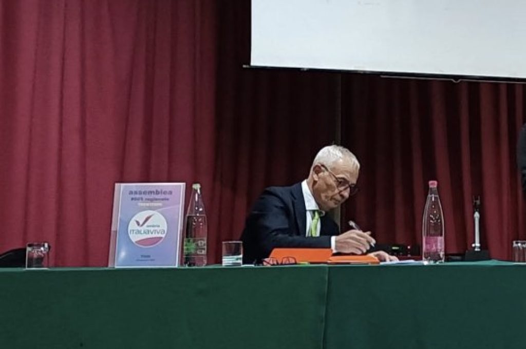 italia viva gnagnarini