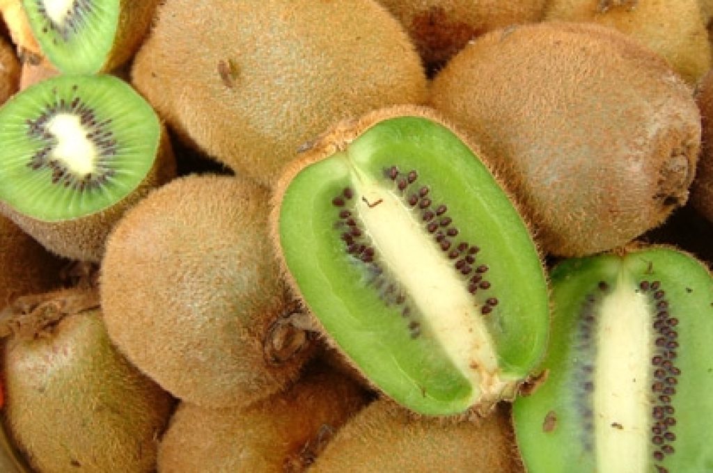 kiwi-fruits1
