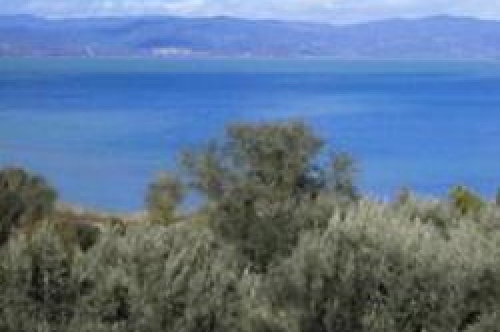 lago_trasimeno