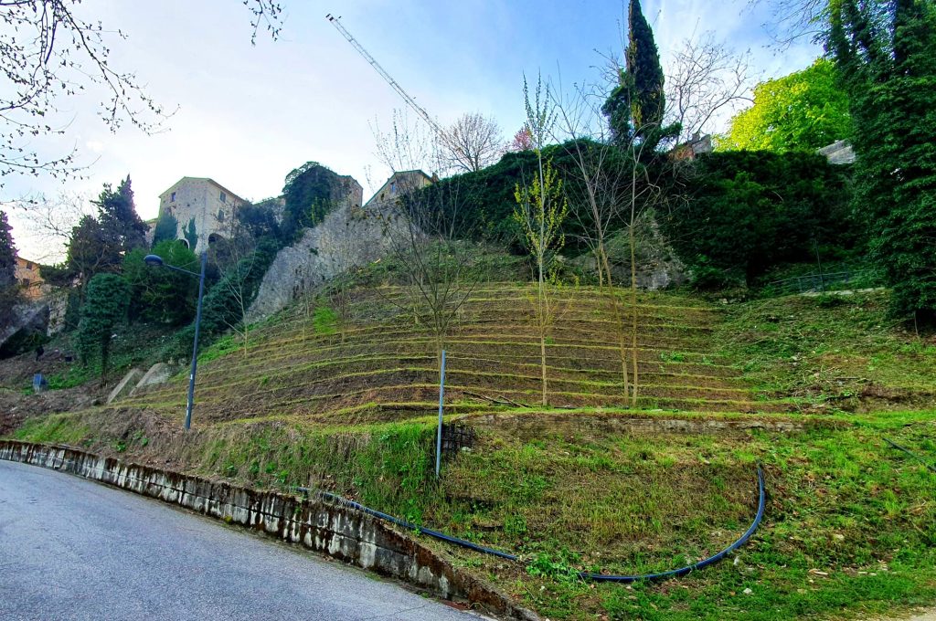 lavori colle