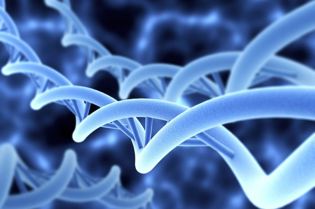 DNA Strands