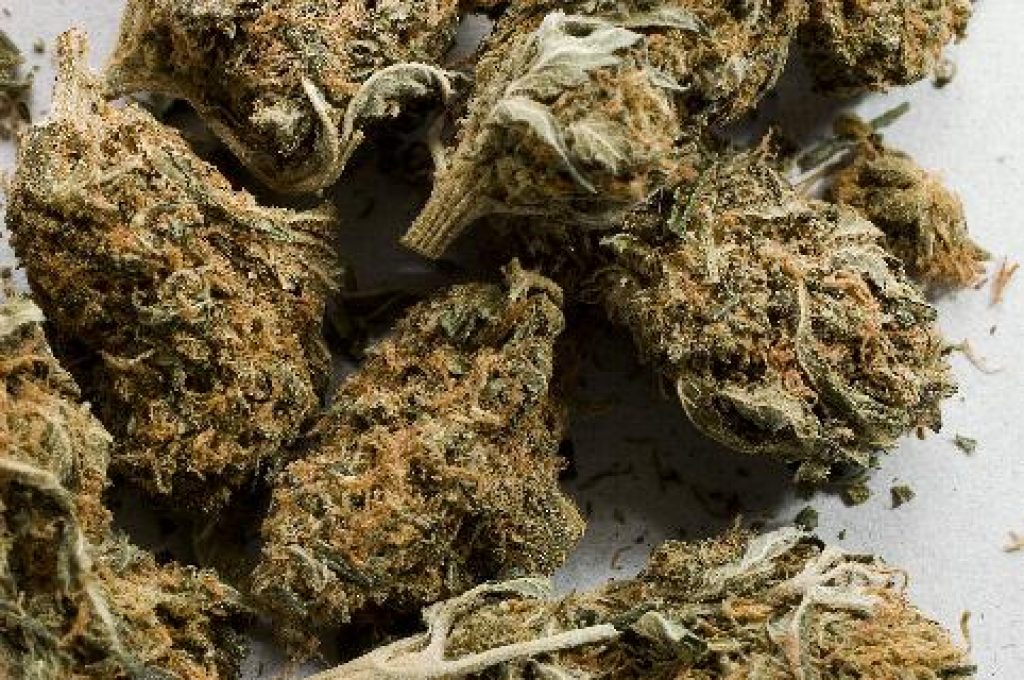 marijuana