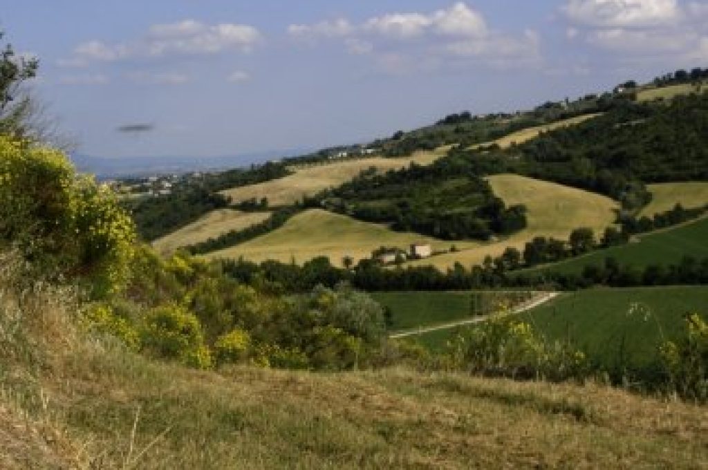 marsciano