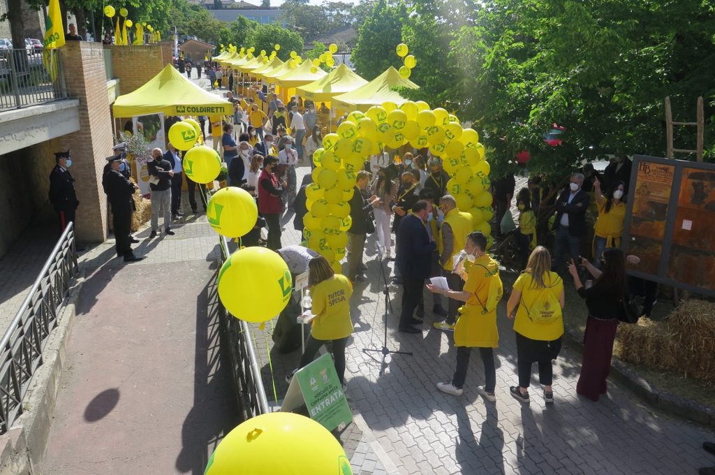 mercato campagna amica coldiretti todi