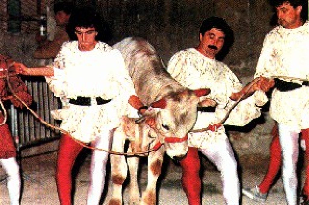 montefalco-fuga-del-bove1