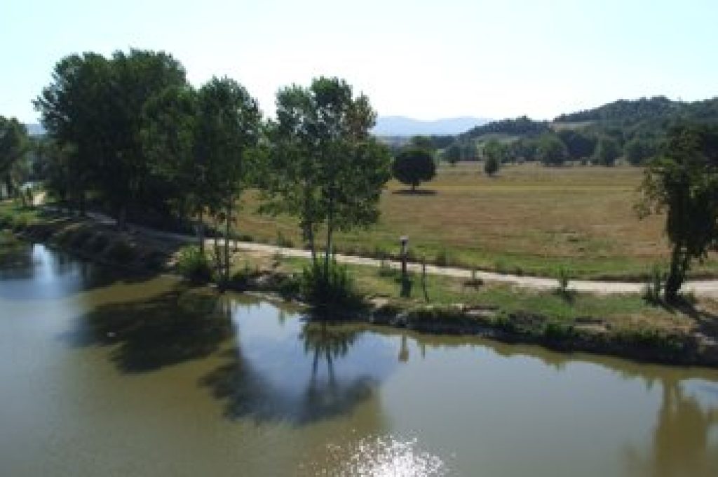 montemolino