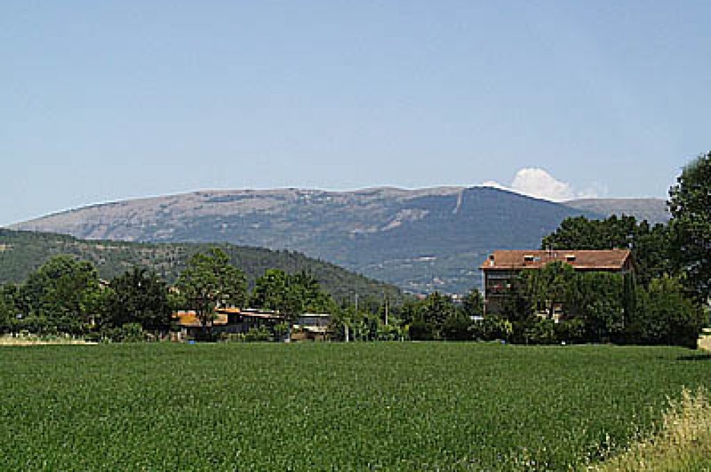 montetezio