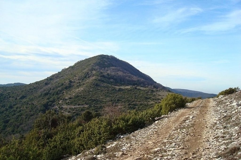 monti-martani