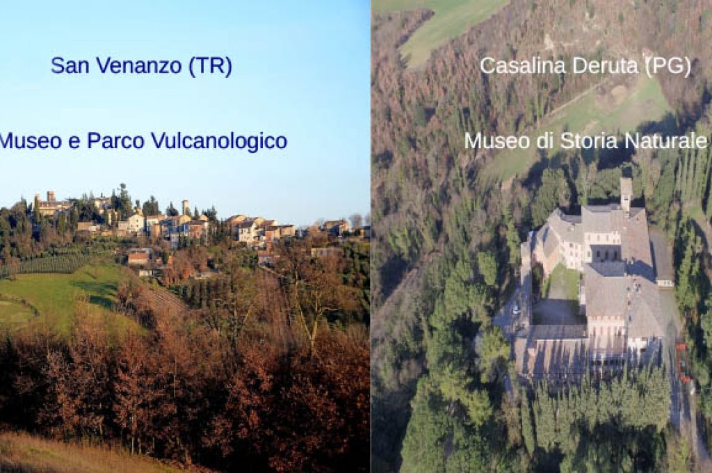musei san venanzo e casalina