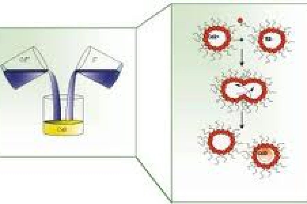 nano-particelle-cadmio