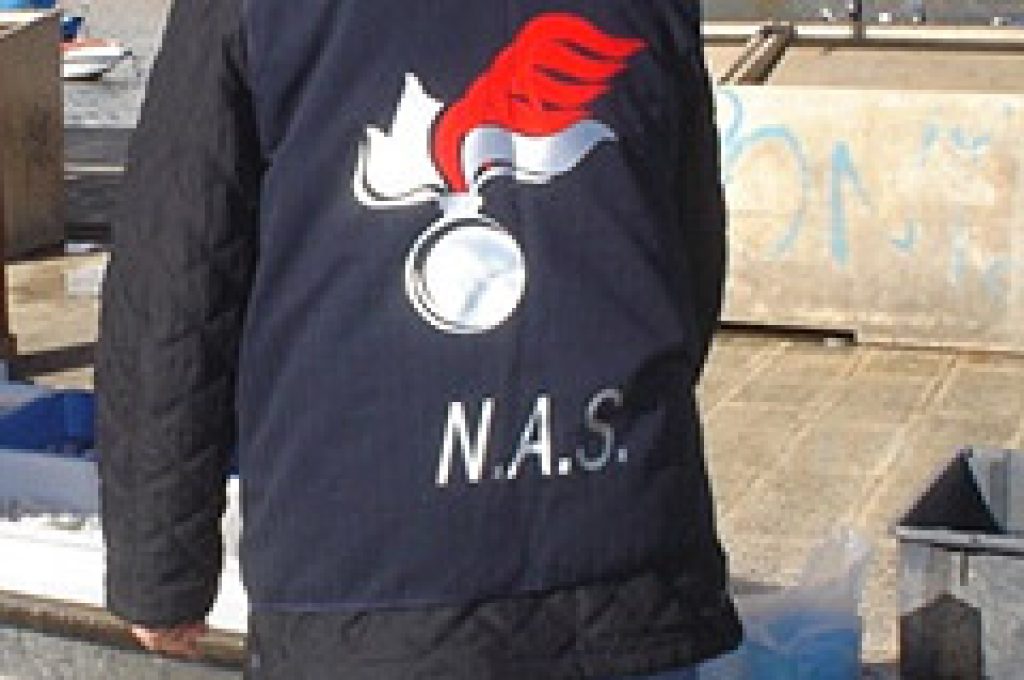 nas1