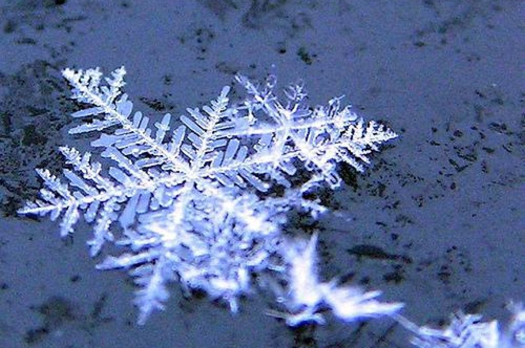 neve-fiocco1