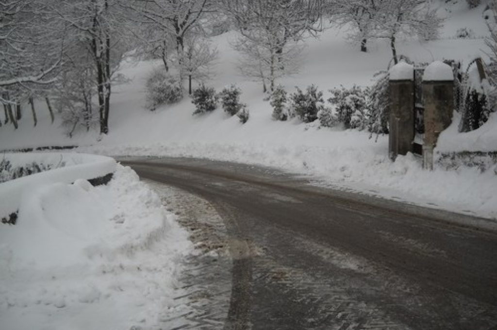neve