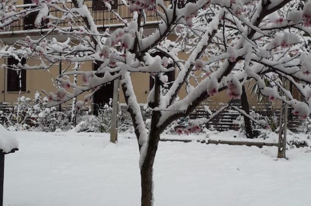 neve massa 2020-2