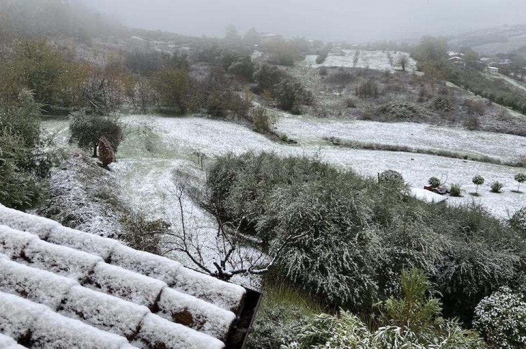 neve todi