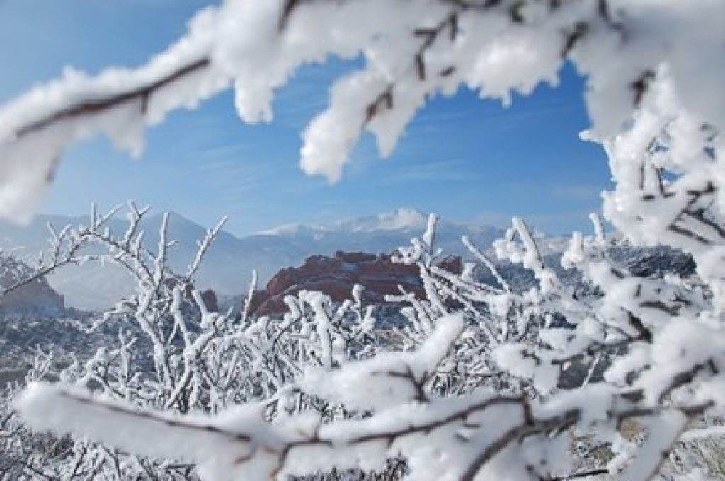 neve3