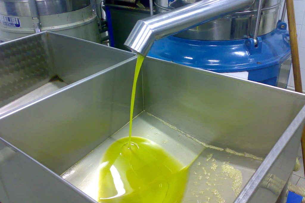 olio ottenuto da olive invaiate  al 50%