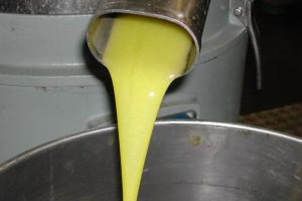 olio