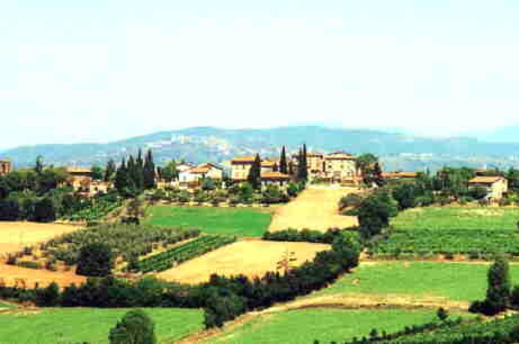 olmeto