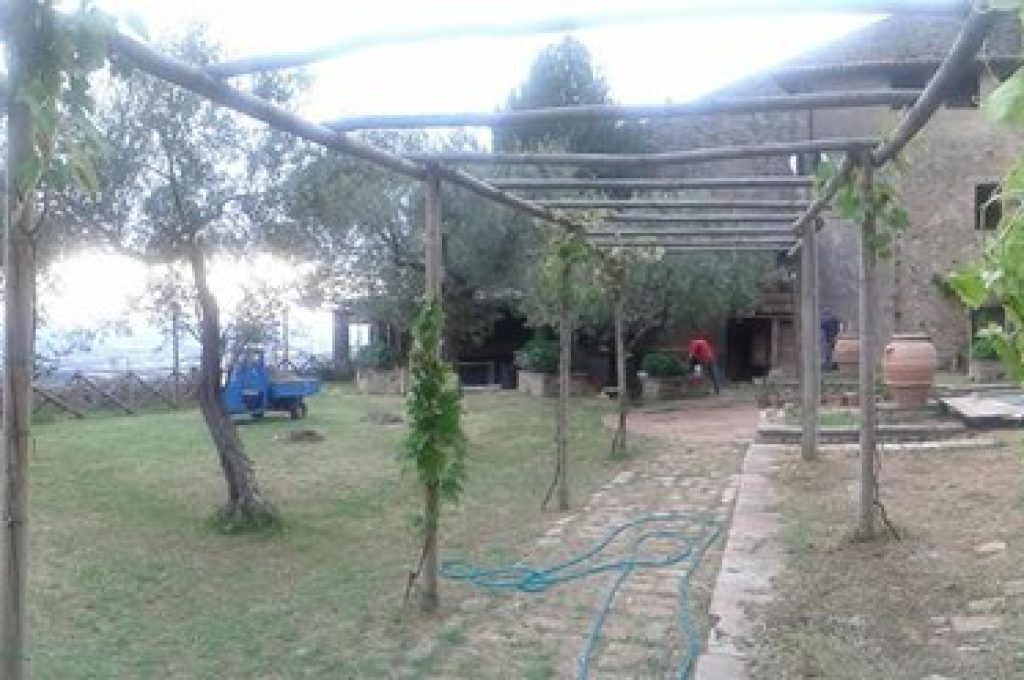 orto delle monache