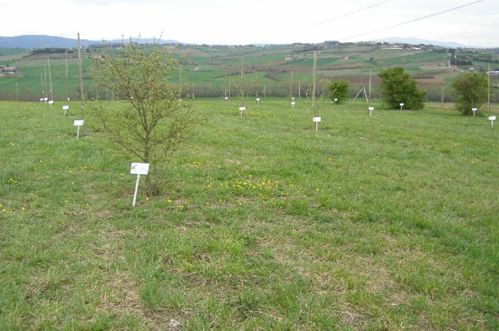 giardino fenologico s. apollinare marsciano