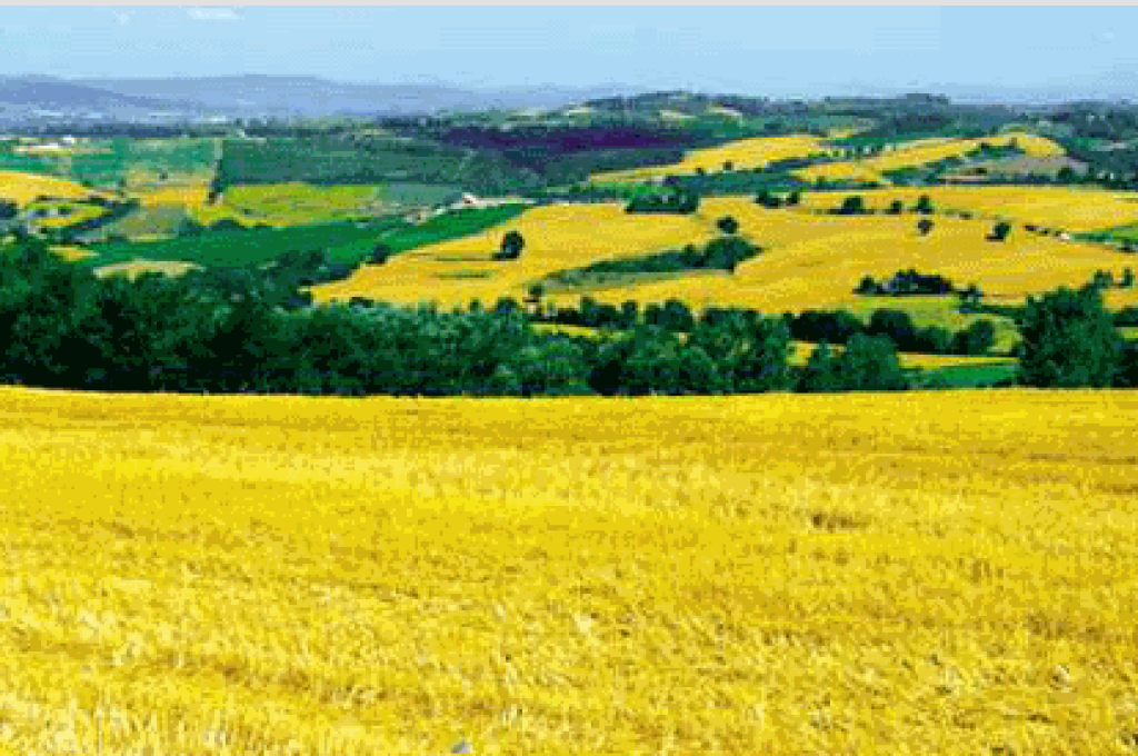 paesaggio