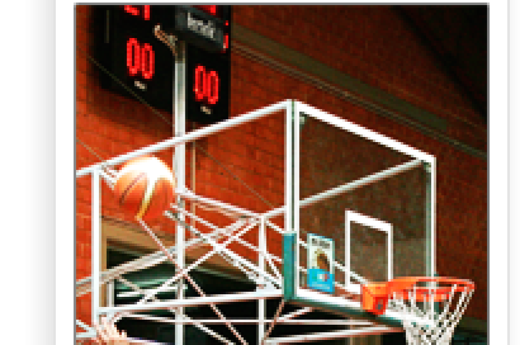 pallacanestro